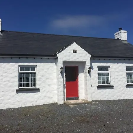 Rose Greencastle (Donegal)